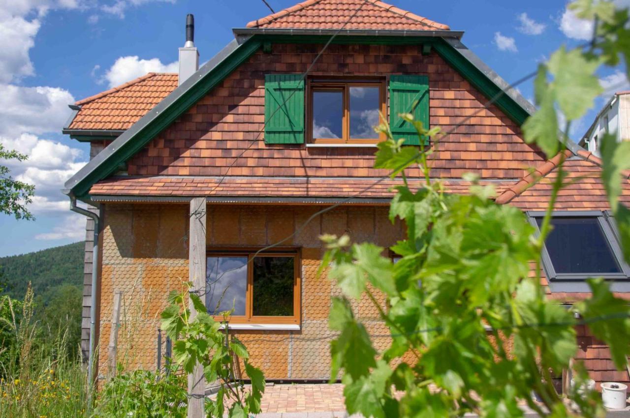 le gîte du Wildbach Wildersbach Exterior foto